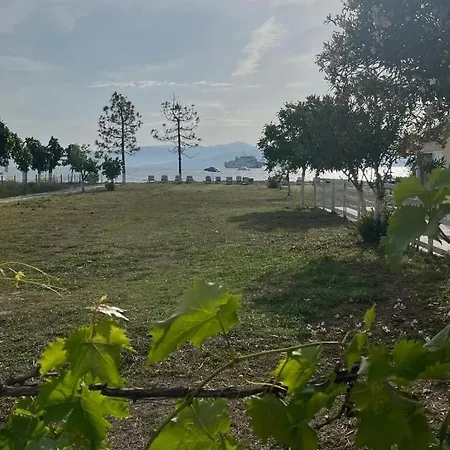 Saint Peter Bay - Basic Room Kávos